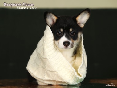 bonita beil IMG 5707