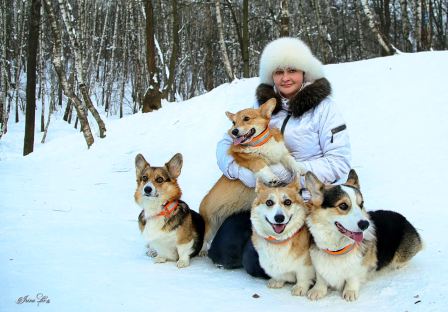 Багряная осень. Наш питомник.