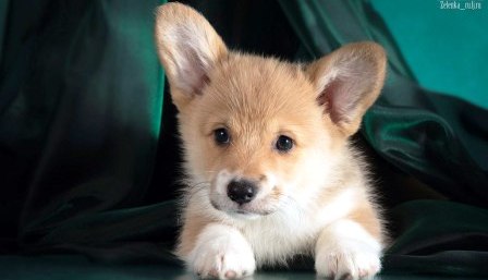 Багряная осень. Бина-3.