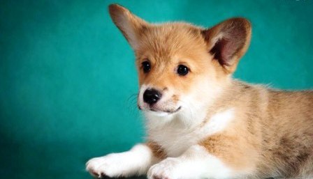 Багряная осень. Бина-4.