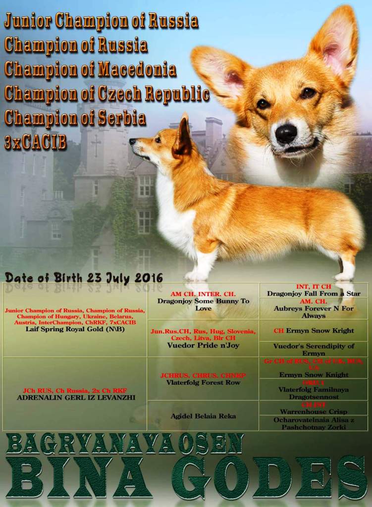 Презентация Бины