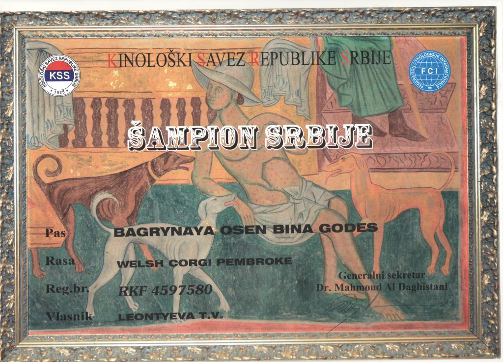 Чемпион Сербии - Диплом Бины 5.