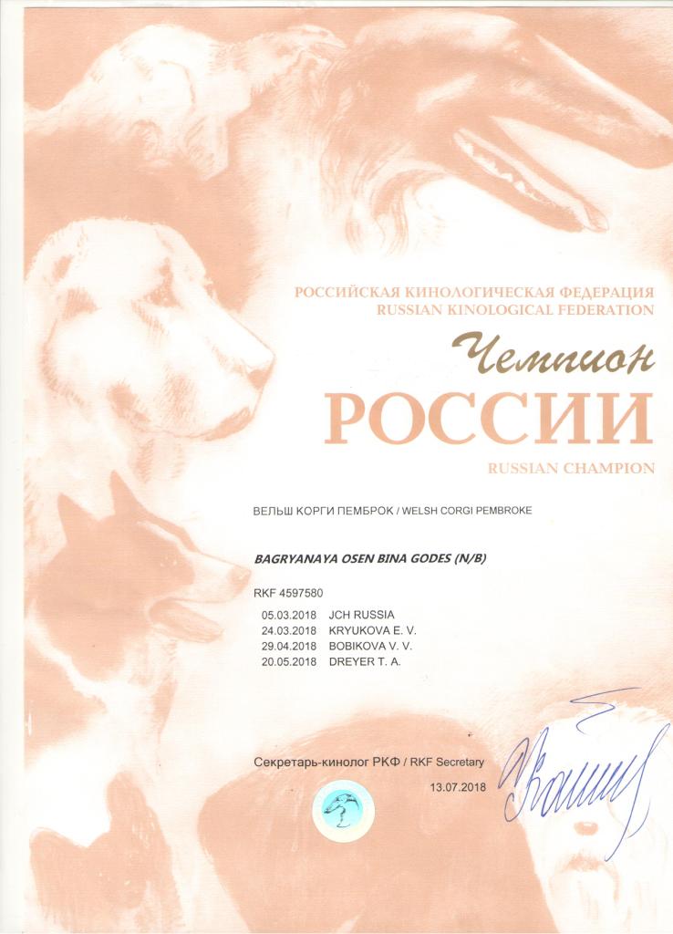 Чемпион России - Диплом Бины 1.