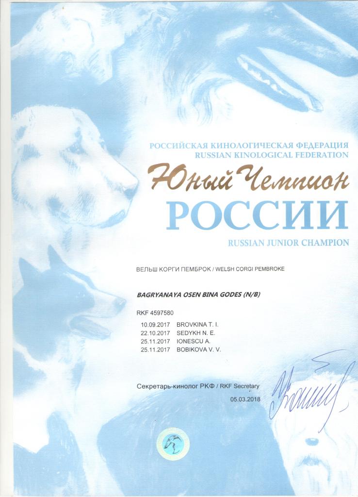 Юный Чемпион России - Диплом Бины