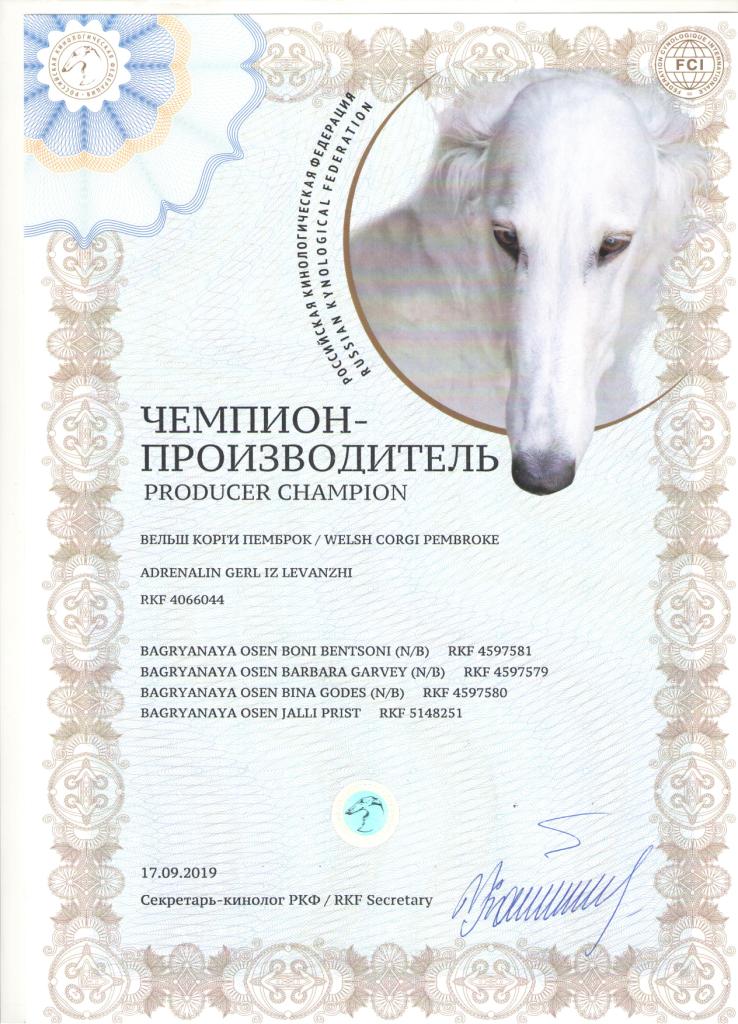 Чемпион Производитель - Диплом Блэкки 3