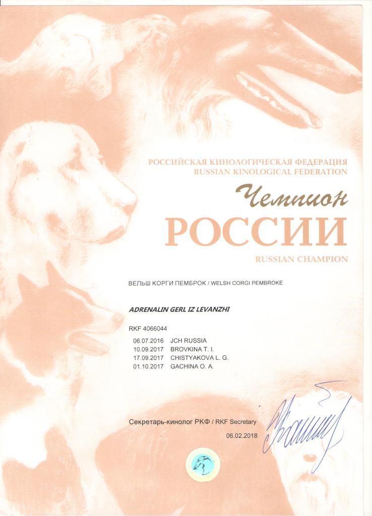 Чемпион России - Диплом Блэкии 2