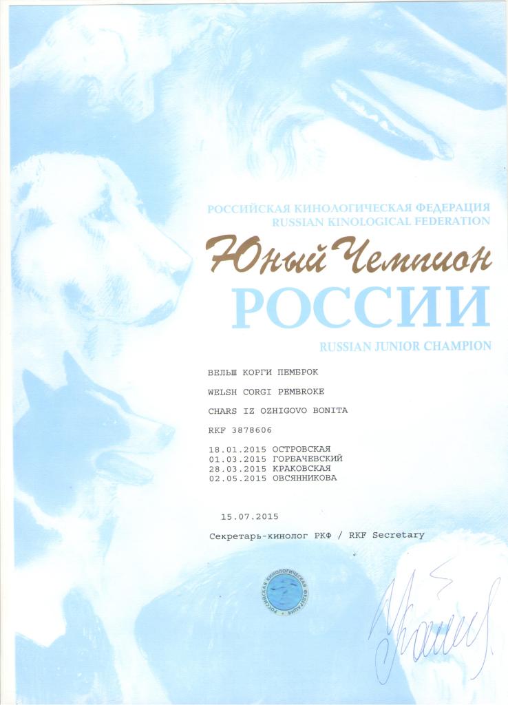 Юный Чемпион России - Диплом Бониты 1