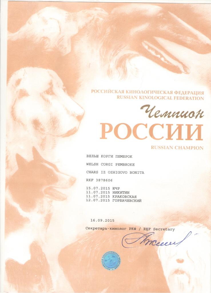 Чемпион России - Диплом Бониты 2