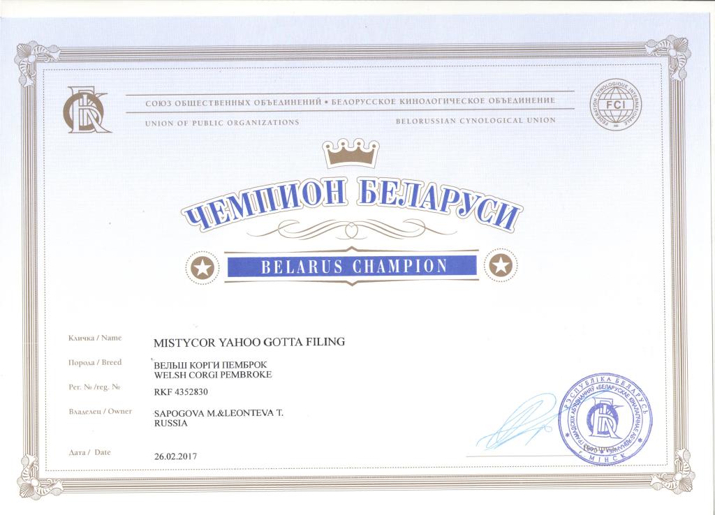 чемпион Беларуси - диплом Тамерлана