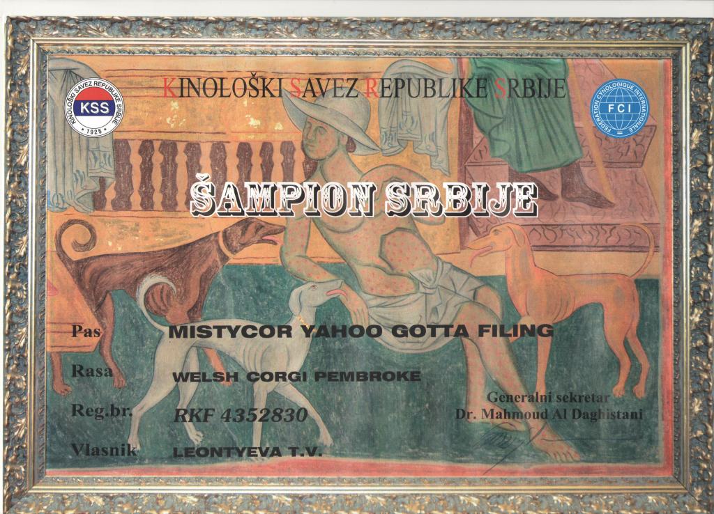 Чемпион Сербии - диплом Тамерлана