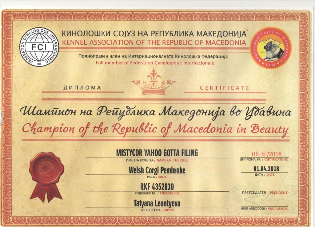 Чемпион Македонии - диплом Тамерлана