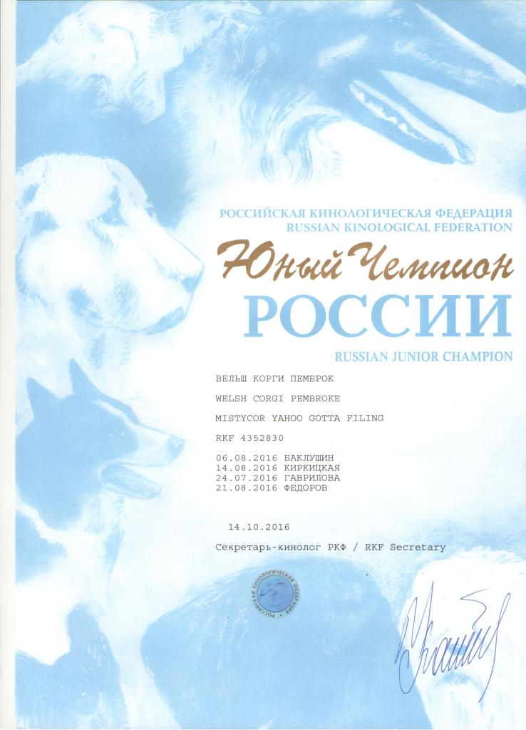 Юный чемпион России - диплом Тамерлана