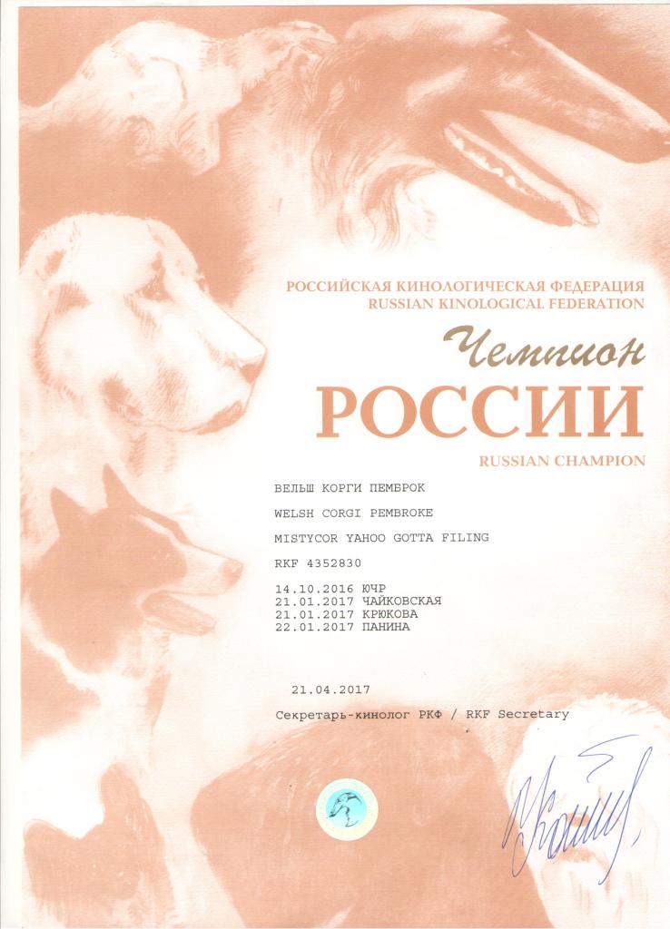 Чемпион России - диплом Тамерлана