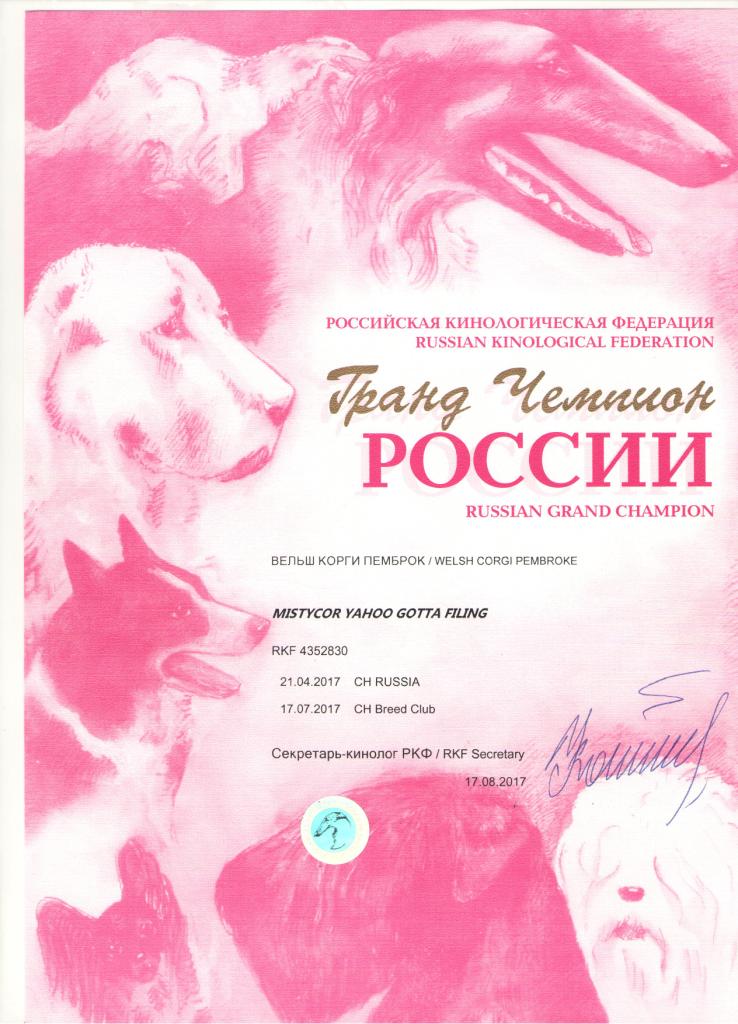 Гранд Чемпион России - диплом Тамерлана