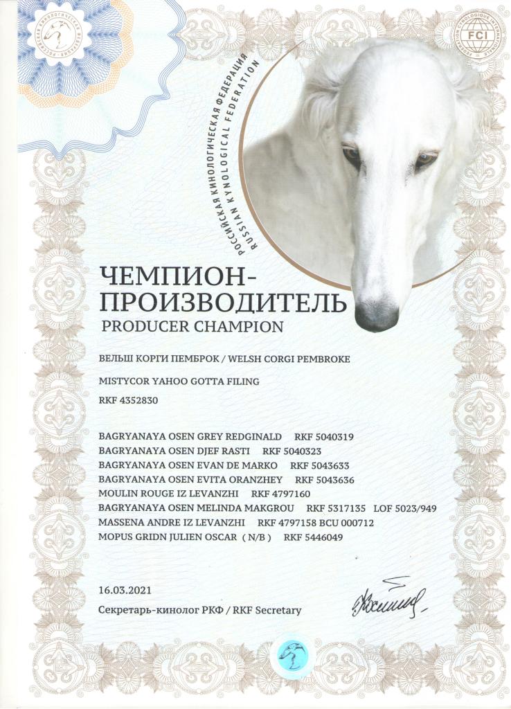 Чемпион производитель - диплом Тамерлана