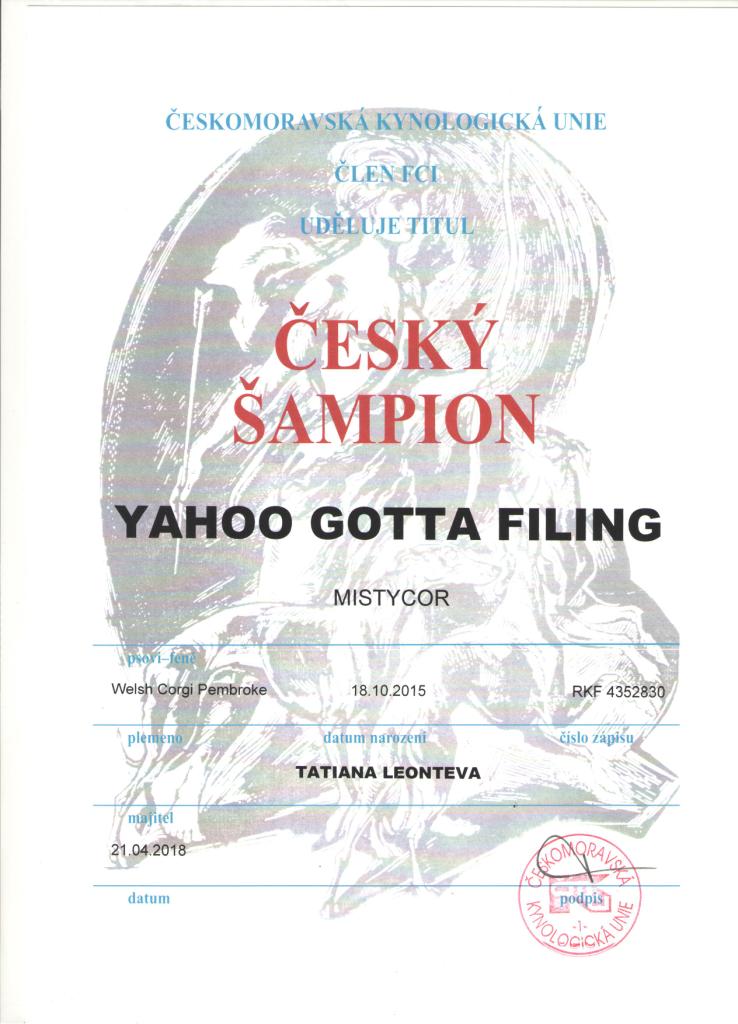 Чемпион Чехии - диплом Тамерлана