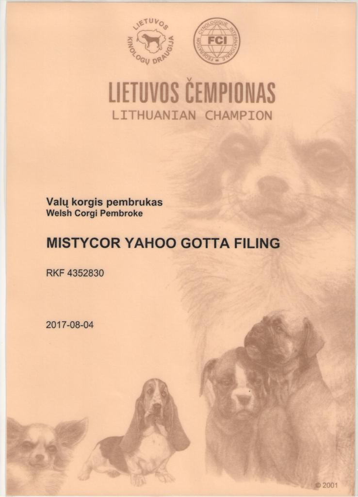 Чемпион Литвы - диплом Тамерлана