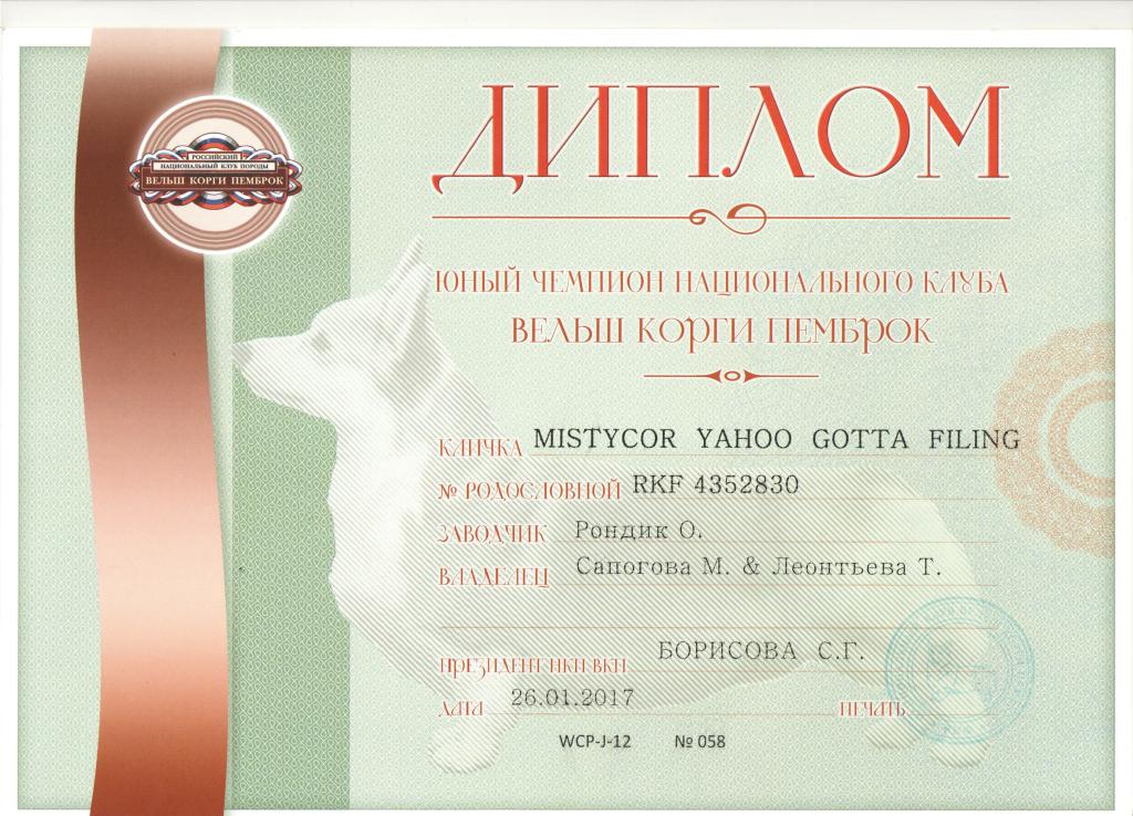 Юный чемпион национального клуба - диплом Тамерлана