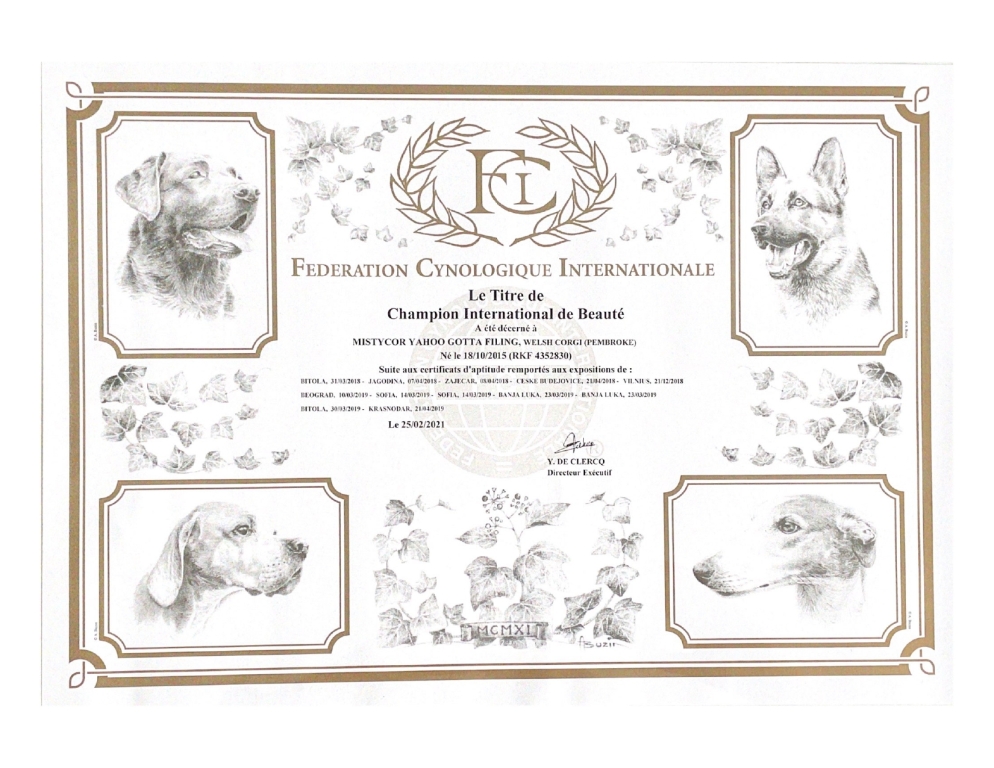 Лучший представитель породы - диплом Тамерлана