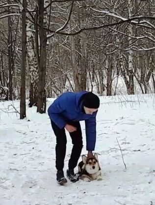 Багряная осень. Дрессура 1.