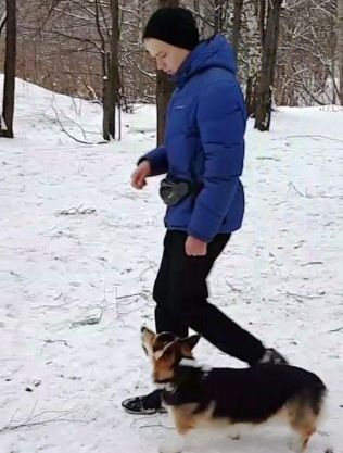 Багряная осень. Дрессура.