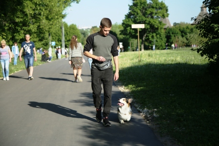 Питомник Багряная осень. Дрессура.