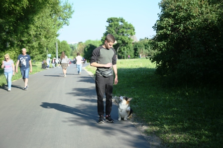 Питомник Багряная осень. Дрессура.