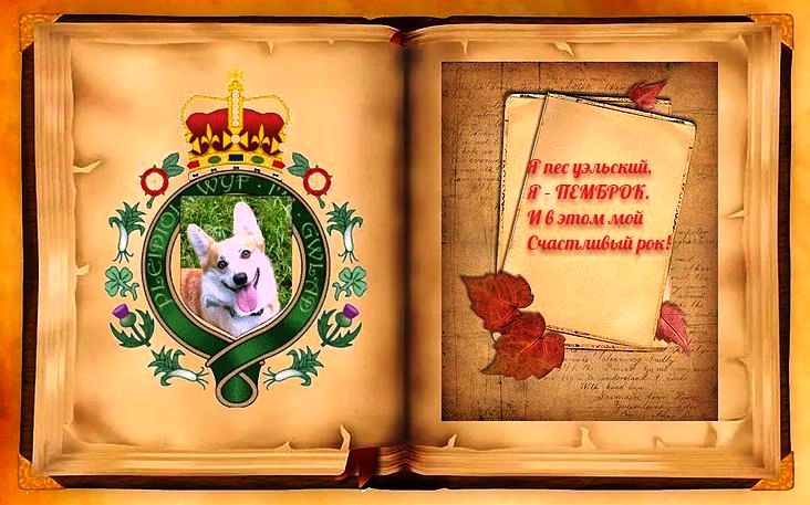 Багряная осень. Факты о Корги.