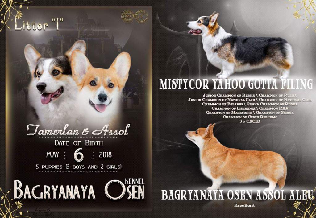 Презентация помета литер И. Багряная осень.