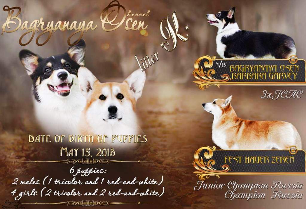 Презентация помета литер К. Багряная осень.