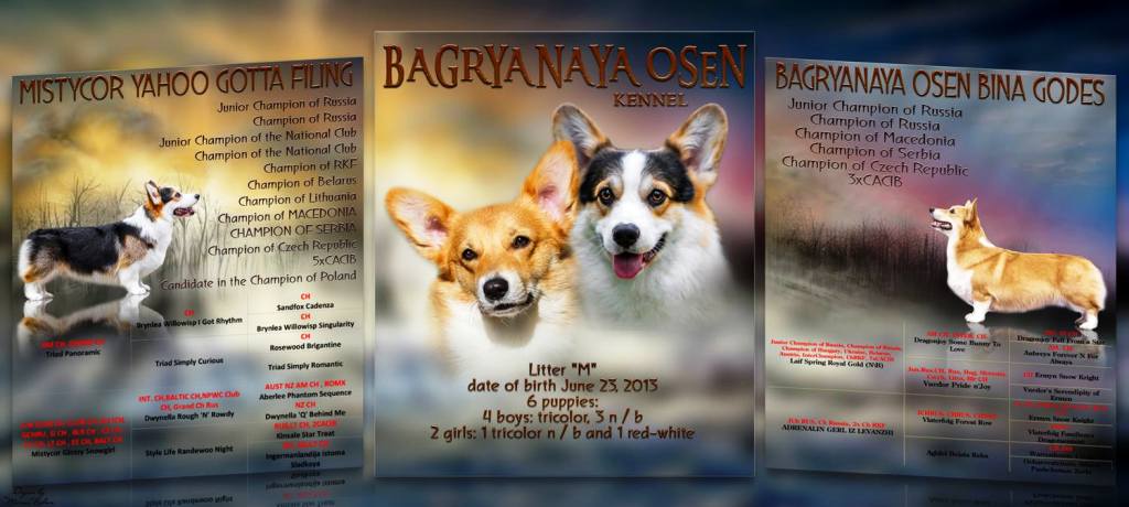 Багряная осень. Презентация щенки литер М.