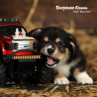 Щенки Вельш Корги Пемброк помета литер Р-3 2022 года.