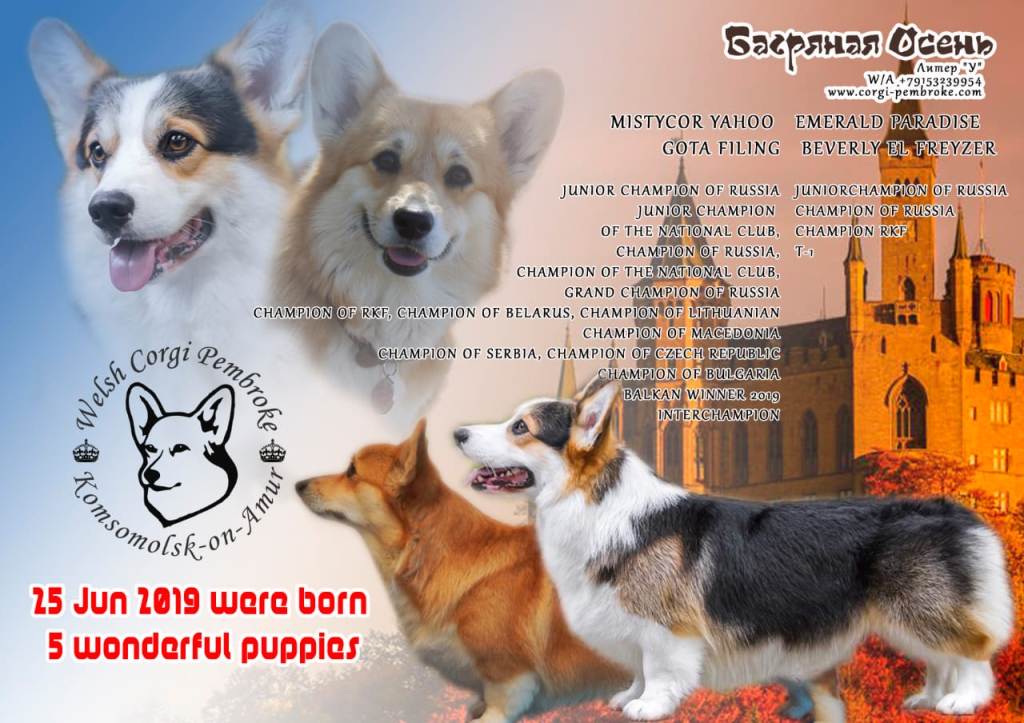 Презентация помета литер У 2019 года. Багряная осень.