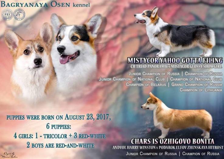 Презентация помета литтер Е