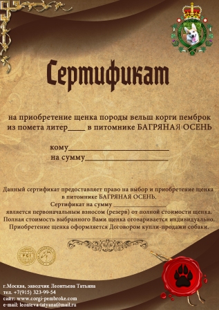 Багряная осень. Сертификат Корги 1.