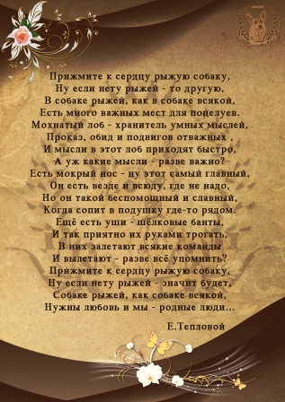 Багряная осень. Сертификат Корги 2.