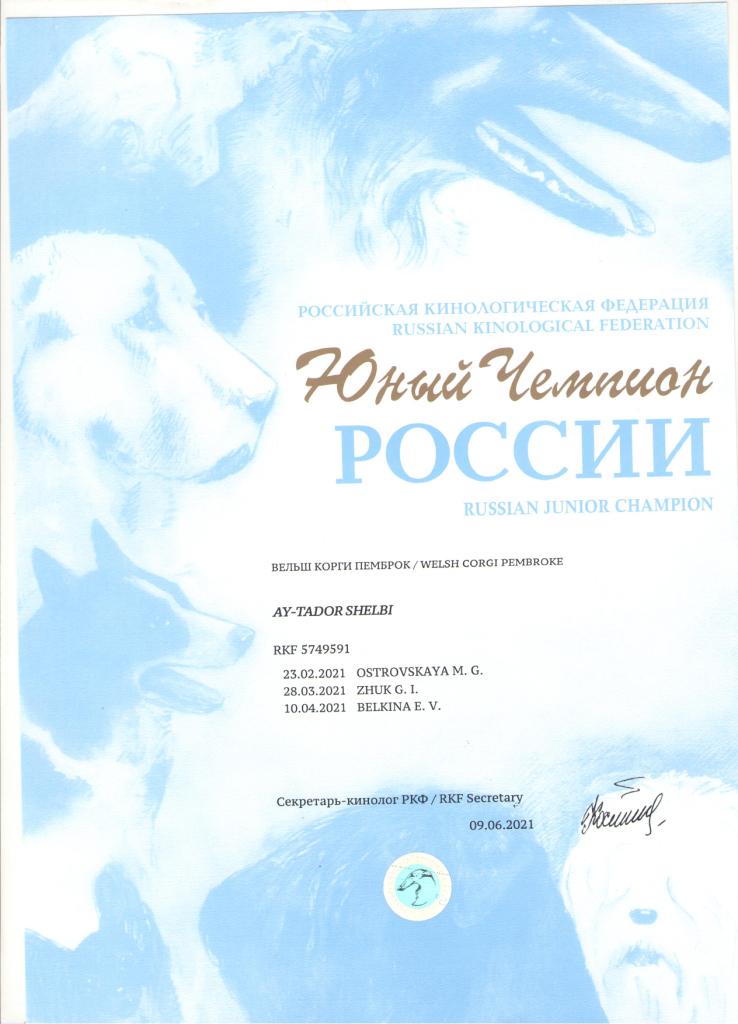 Щелби - Юный чемпион России