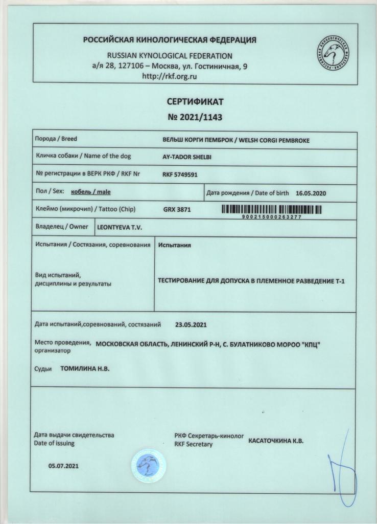 Сертификат РКФ - Шелби