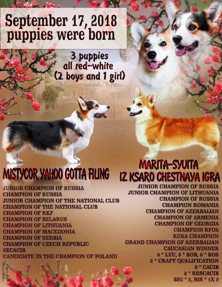 Презентация помета Тамерлан - Стеша. Банряная осень