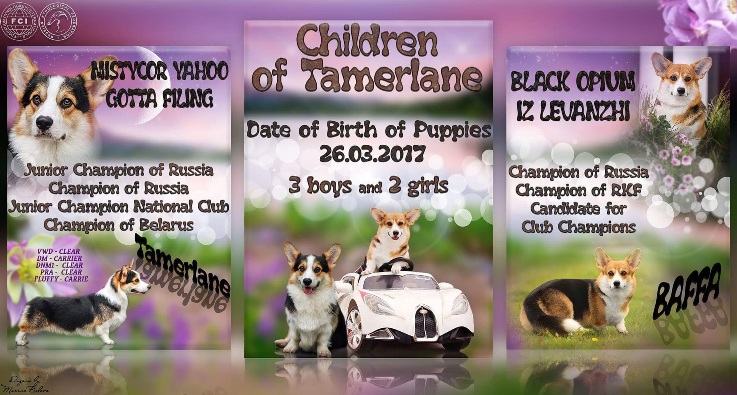 Презентация помета Тамерлана